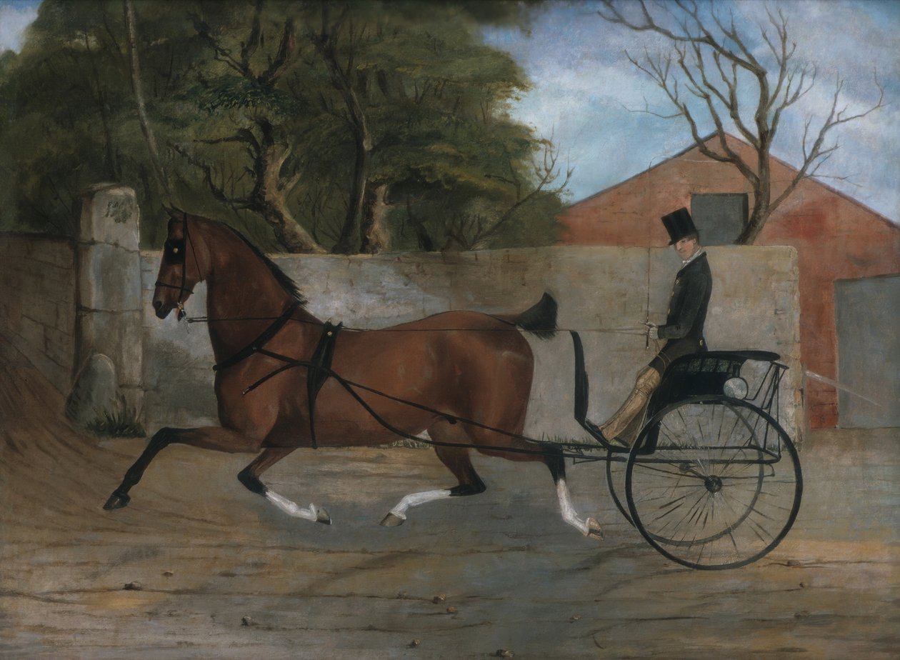 Arabadaki Bir Beyefendinin Portresi, yak. 1850-60. by Unbekannt