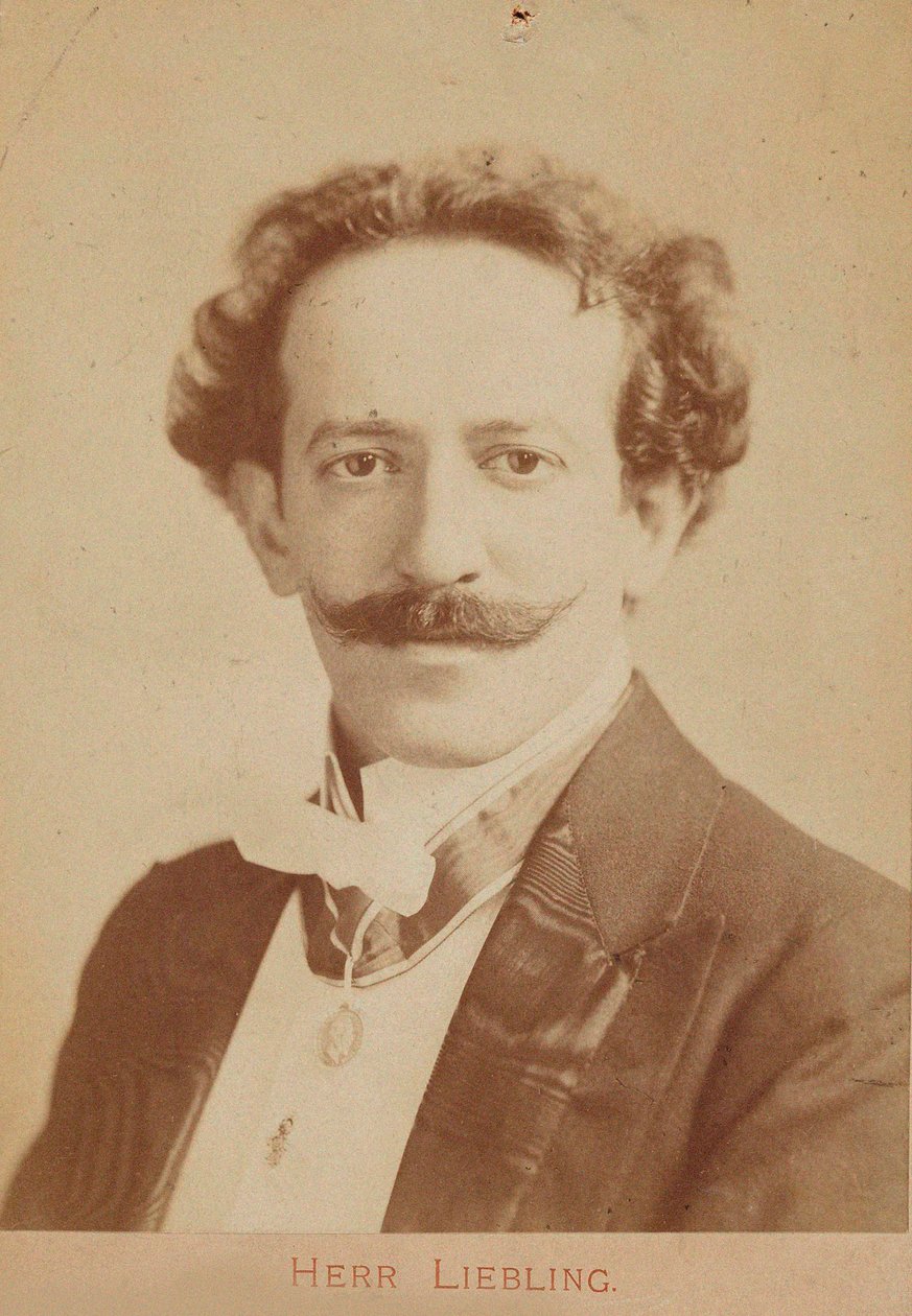 Piyanist ve besteci Georg Liebling