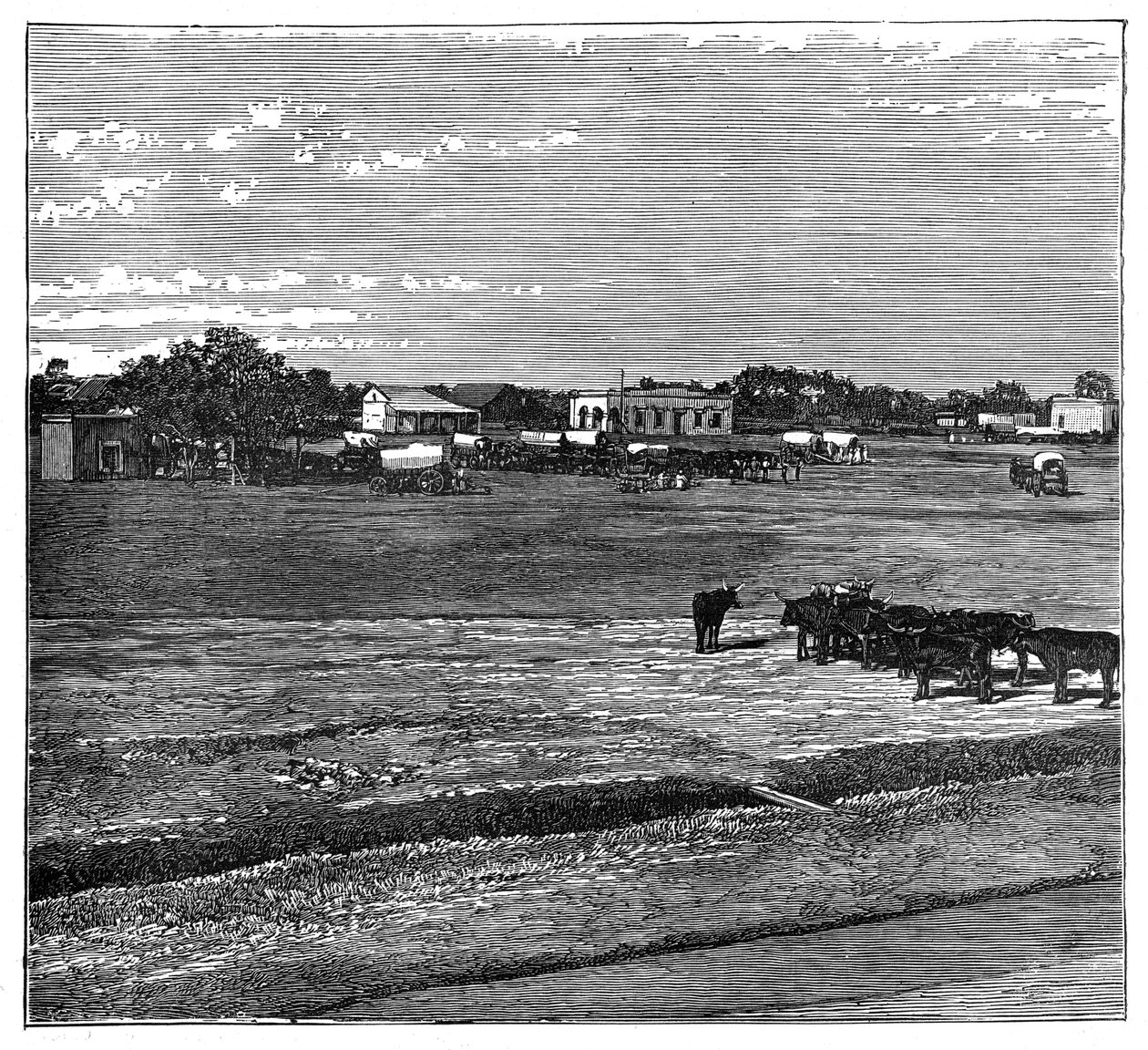 Potchefstroom, Transvaal, Güney Afrika, c1890 by Unbekannt