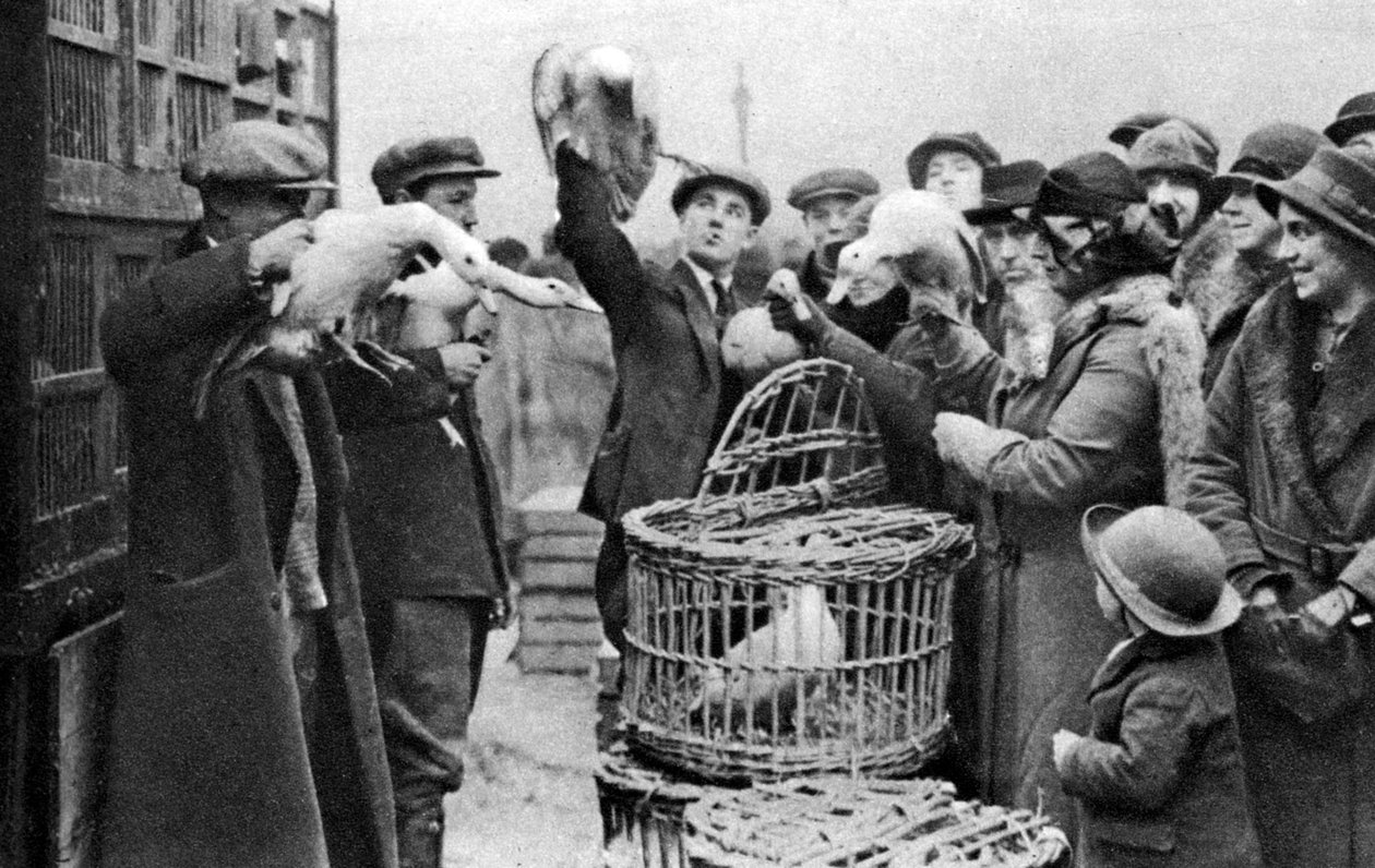 Kümes hayvanları tüccarları, Caledonian Market, Londra, 1926-1927 by Unbekannt