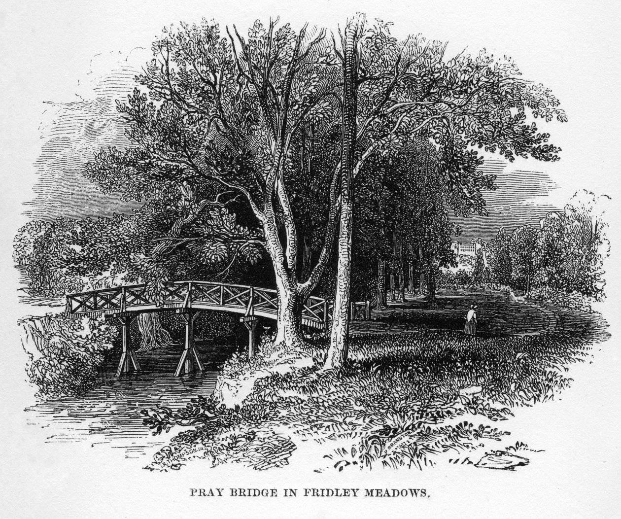 Fridley Meadows