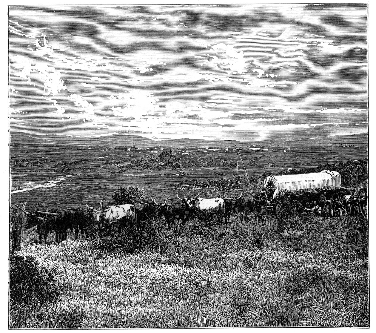 Pretoria, Güney Afrika, c1890 by Unbekannt