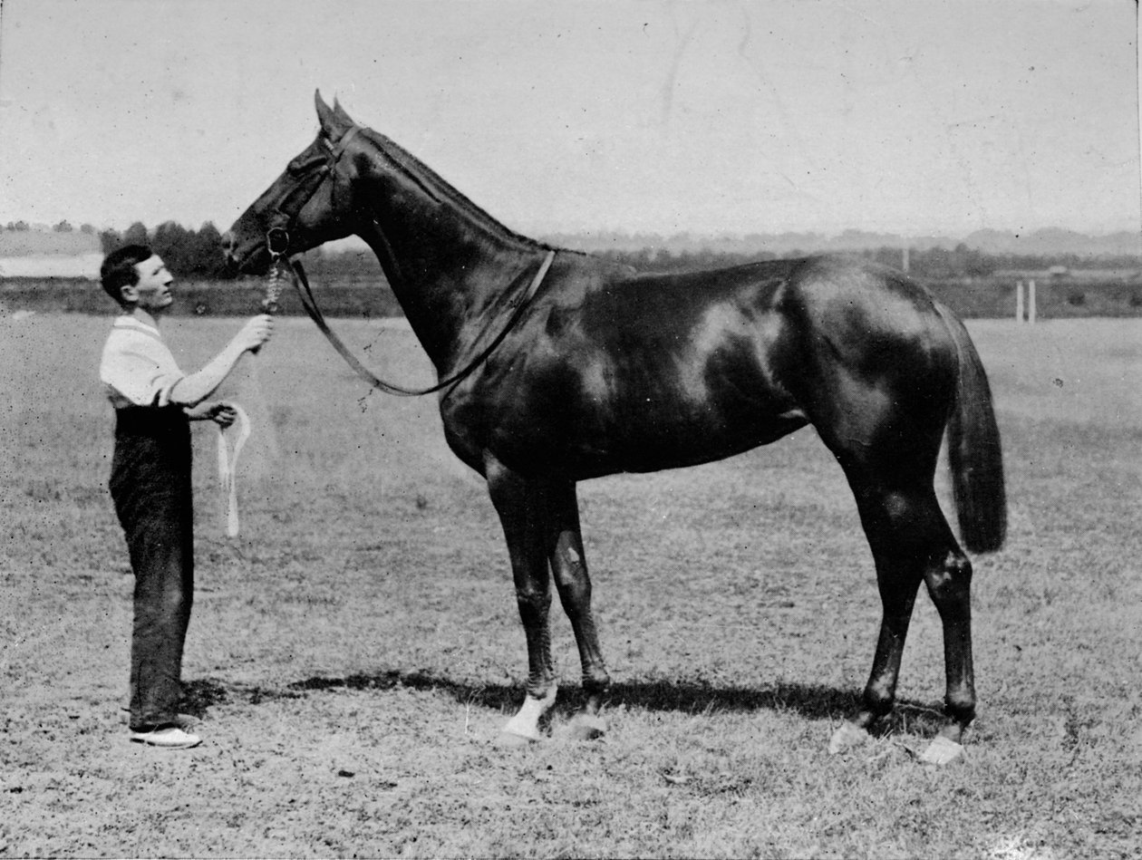 Güzel Polly, 1901-1931, 1911 by Unbekannt