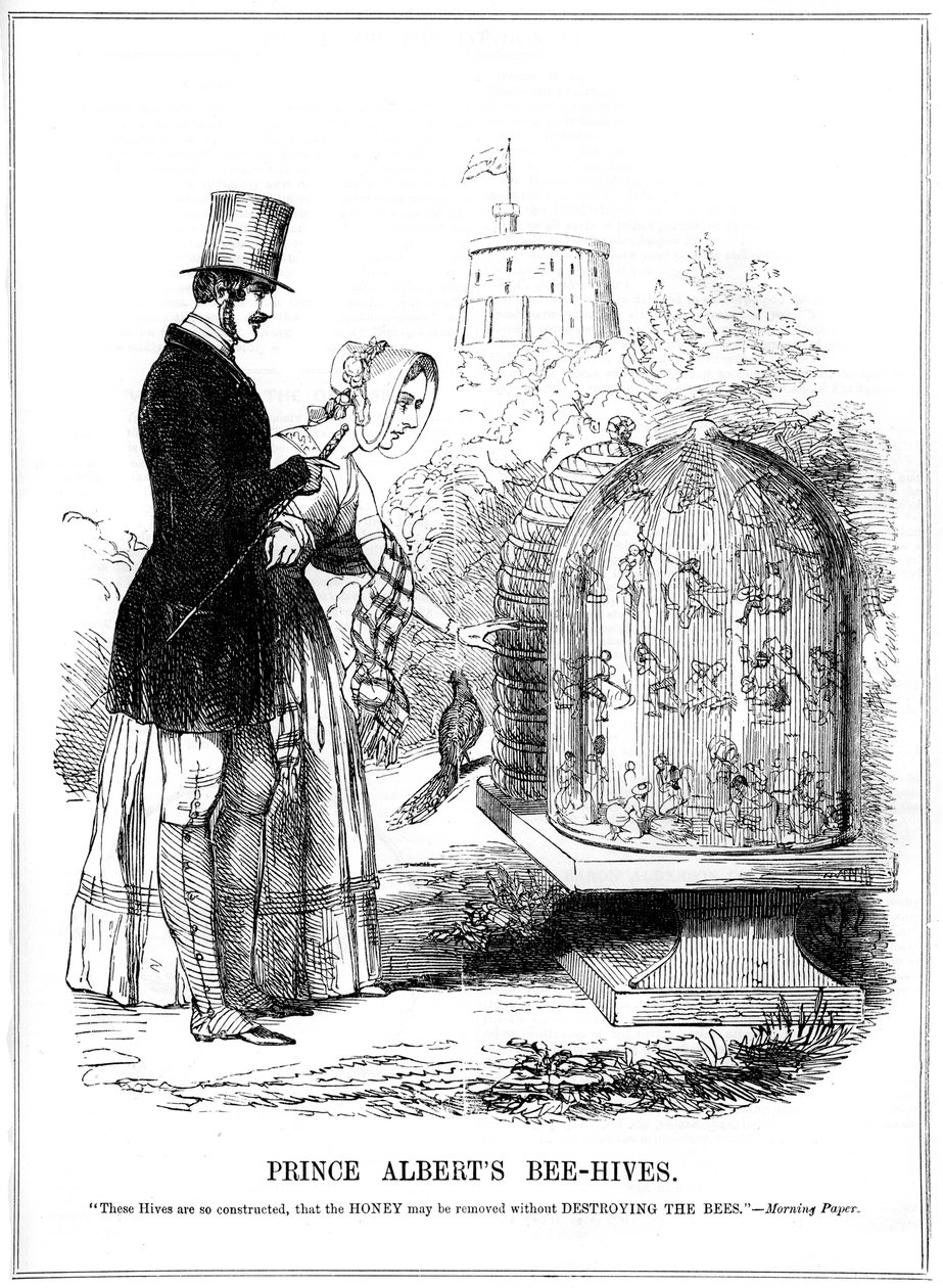 Prens Alberts Arı Kovanları, 1843 by Unbekannt