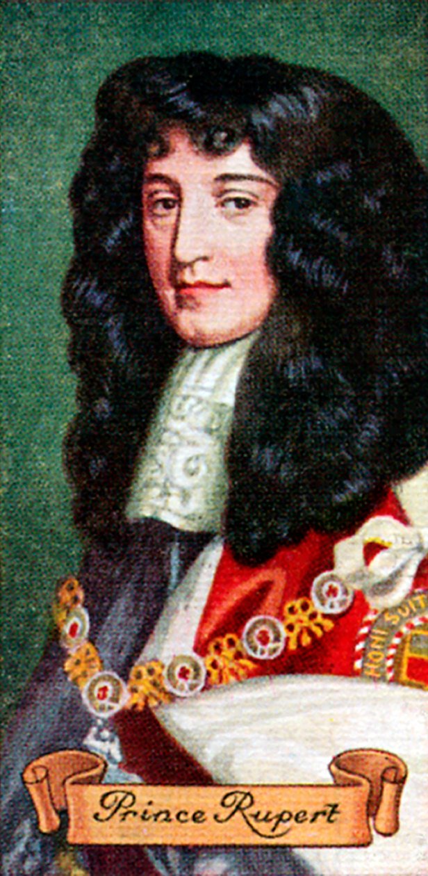 Prince Rupert, bir dizi sigara kartından alındı, 1935 by Unbekannt