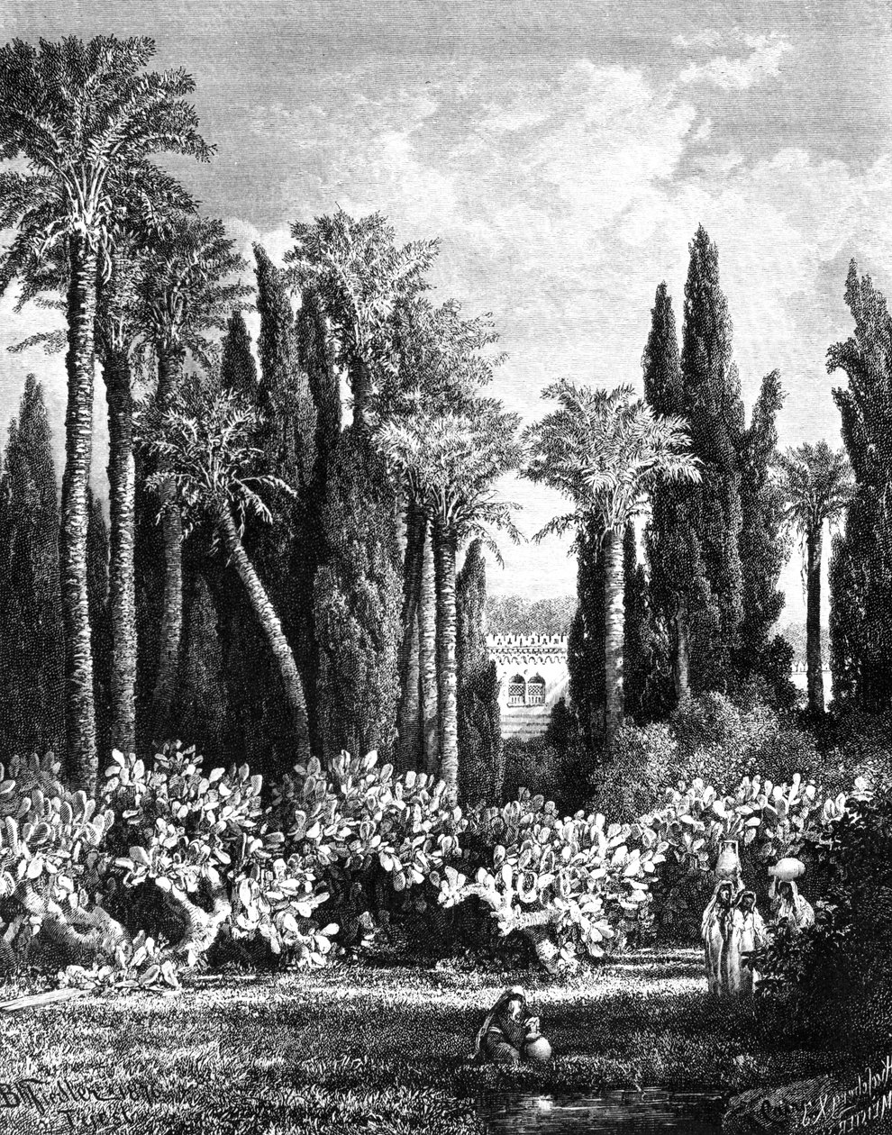 Princely Garden, Kahire, Mısır, 1880 by Unbekannt