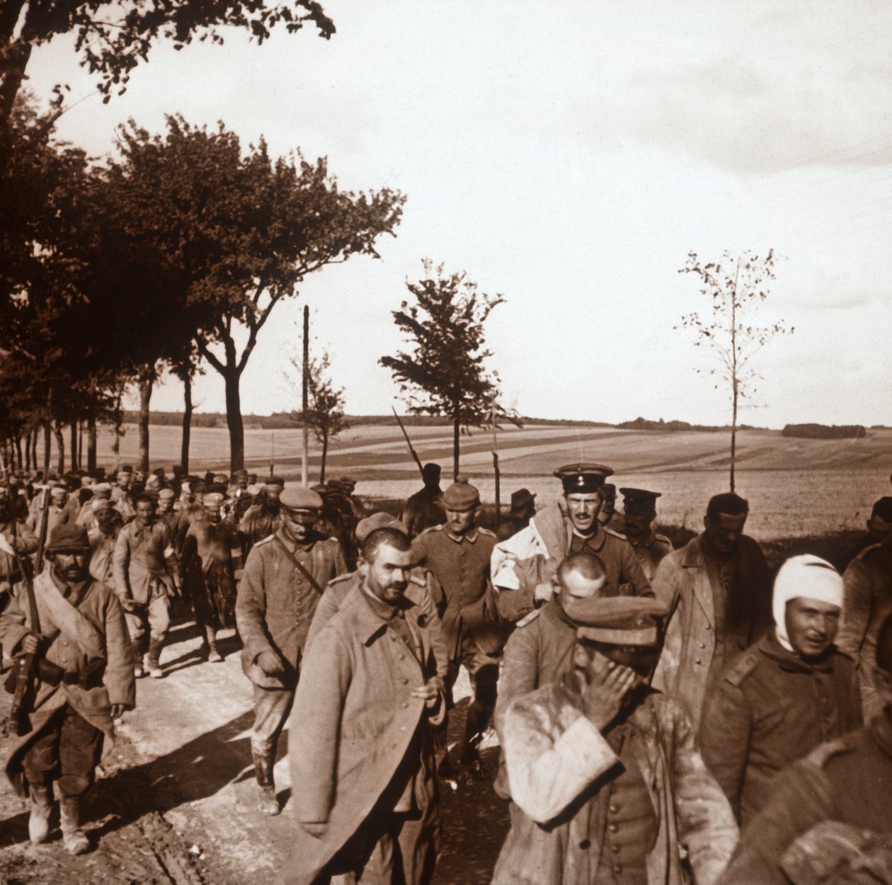 Mahkumlar, Şampanya, kuzey Fransa, c1914-c1918 by Unbekannt