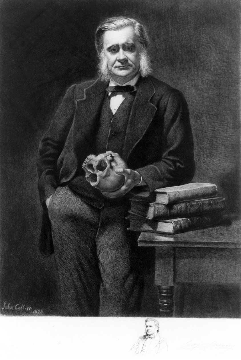 Profesör Thomas Henry Huxley, İngiliz biyolog by Unbekannt