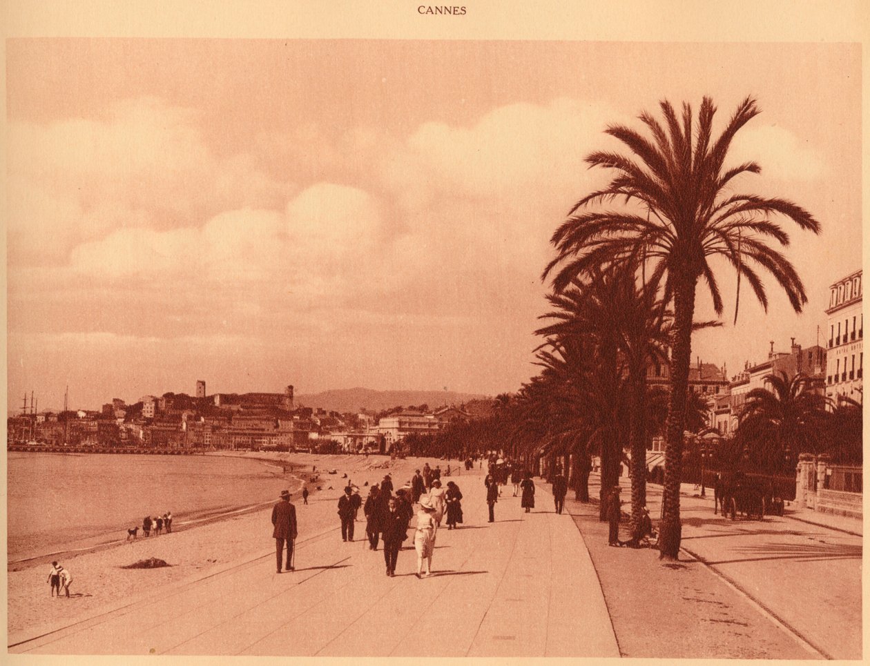 Promenade de la Croisette ve Mont Chevalier, Cannes, 1930. by Unbekannt