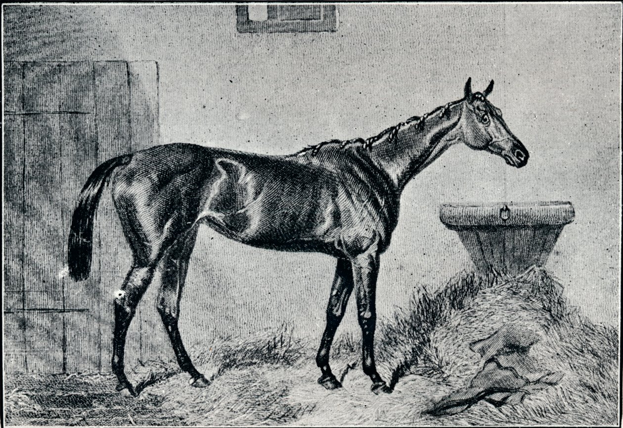 Kraliçe Bertha, 19. yüzyıl, 1911 by Unbekannt