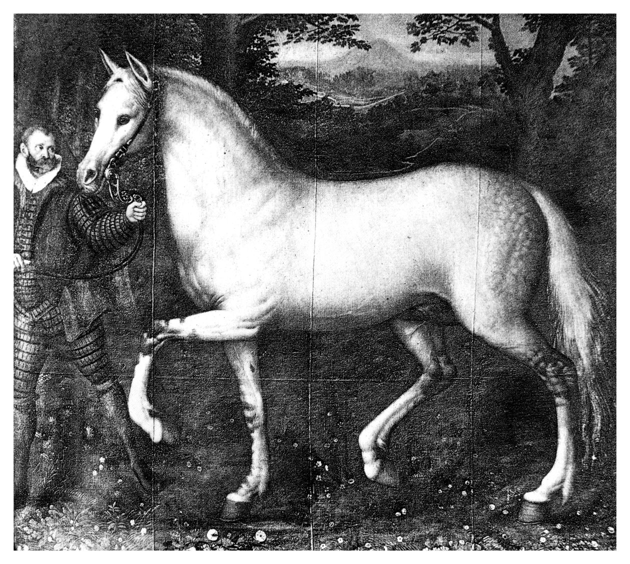 Kraliçe Elizabeth attır, 1896 by Unbekannt