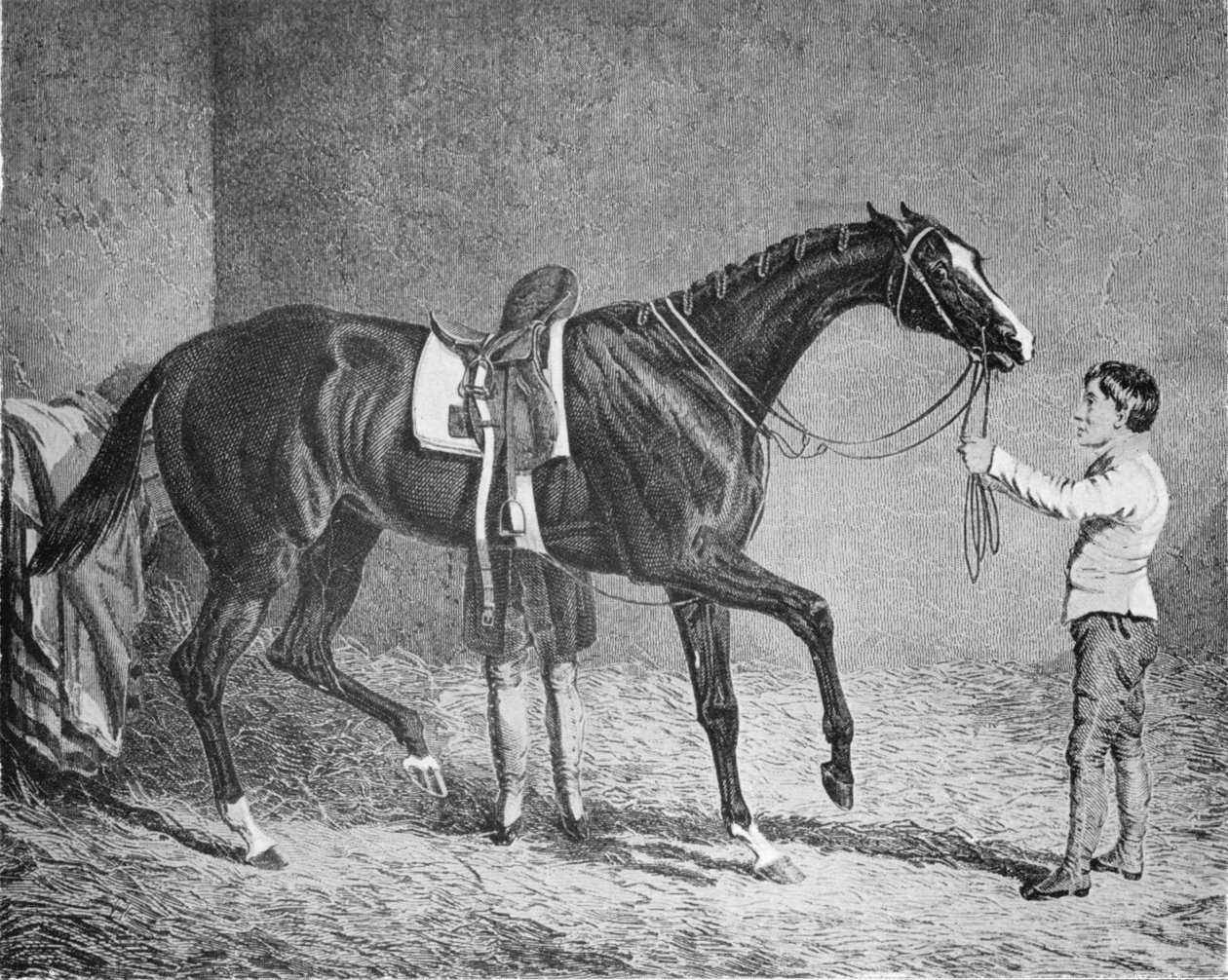 Trump Kraliçesi, 1832-1843, 1911 by Unbekannt