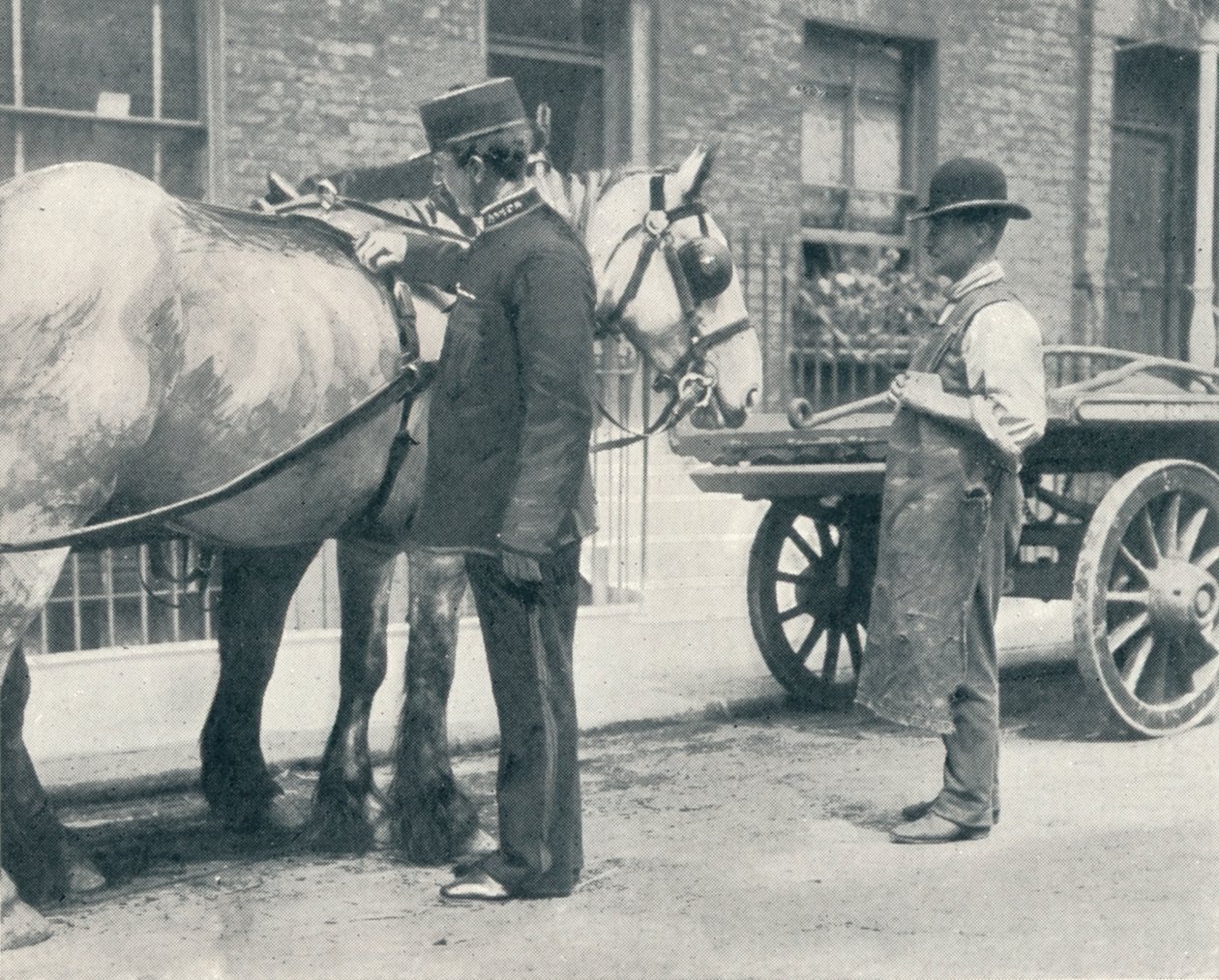 Bir atı inceleyen RSPCA müfettişi, c1903 1903 by Unbekannt