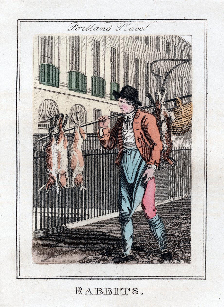 Tavşanlar, Portland Place, Londra, 1805 by Unbekannt