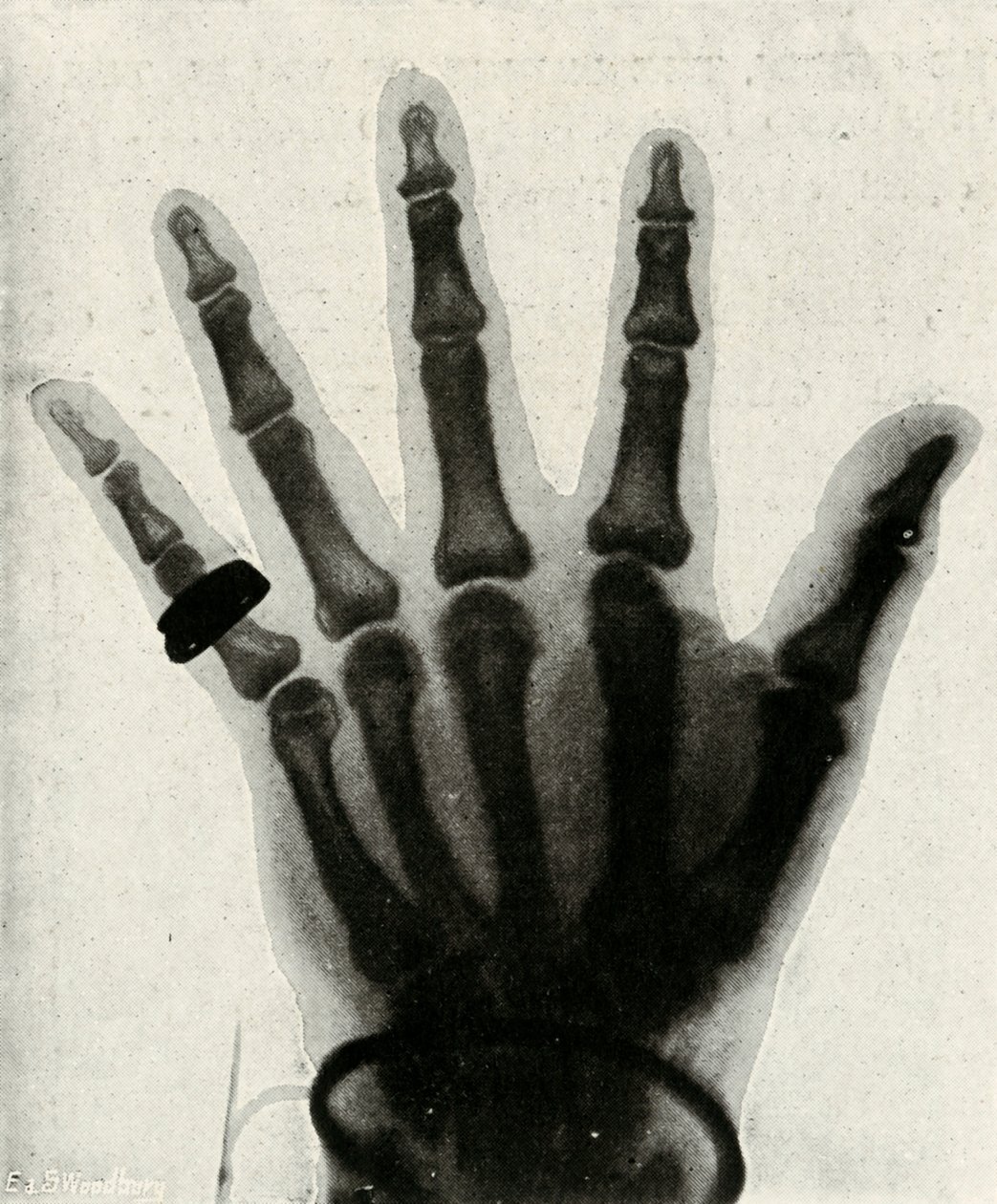 H.R.H.