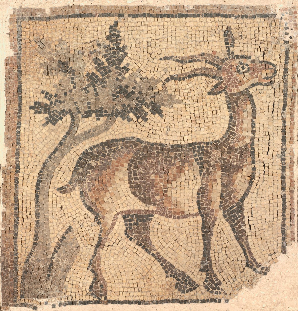 Bir Ağacın yanında Ram, 400