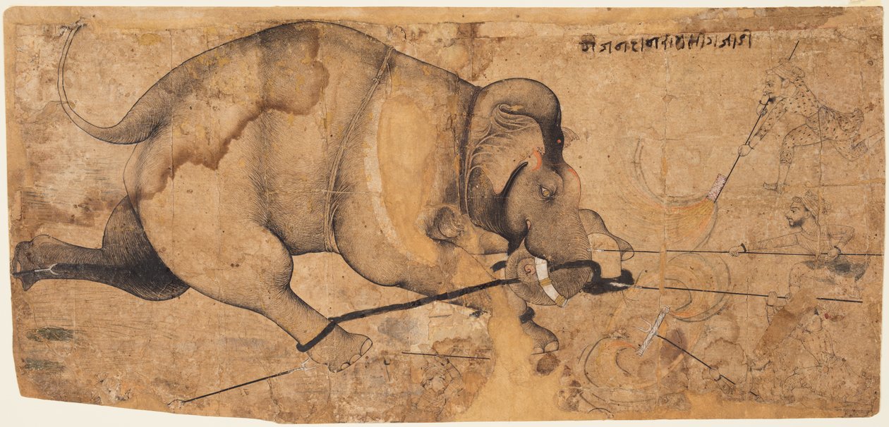 Rao Ram Singhs Fil Amok Gitti, c. 1700. by Unbekannt