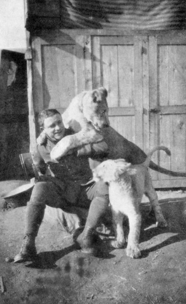 Raoul Lufbery, Fransız-Amerikan savaş pilotu ve I. Dünya Savaşı