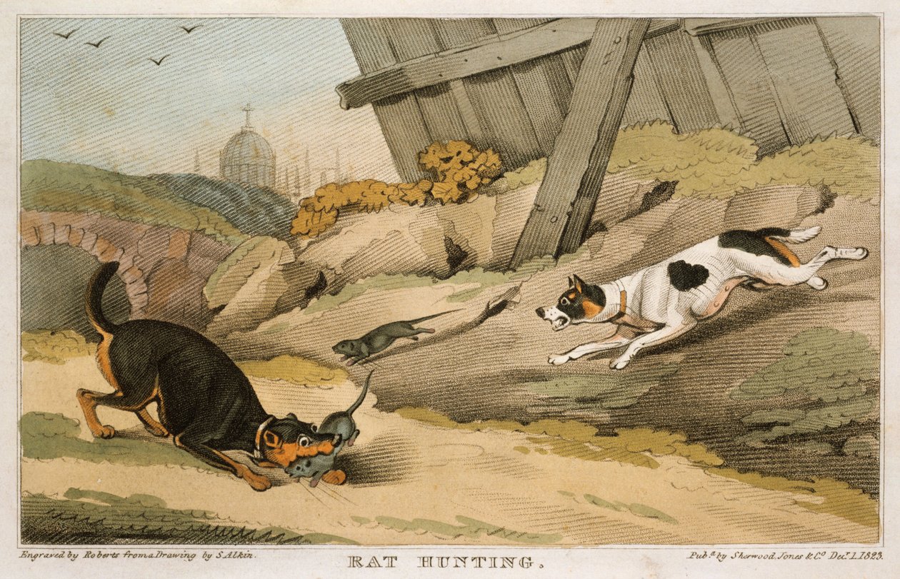 Fare Avı, 1823 by Unbekannt