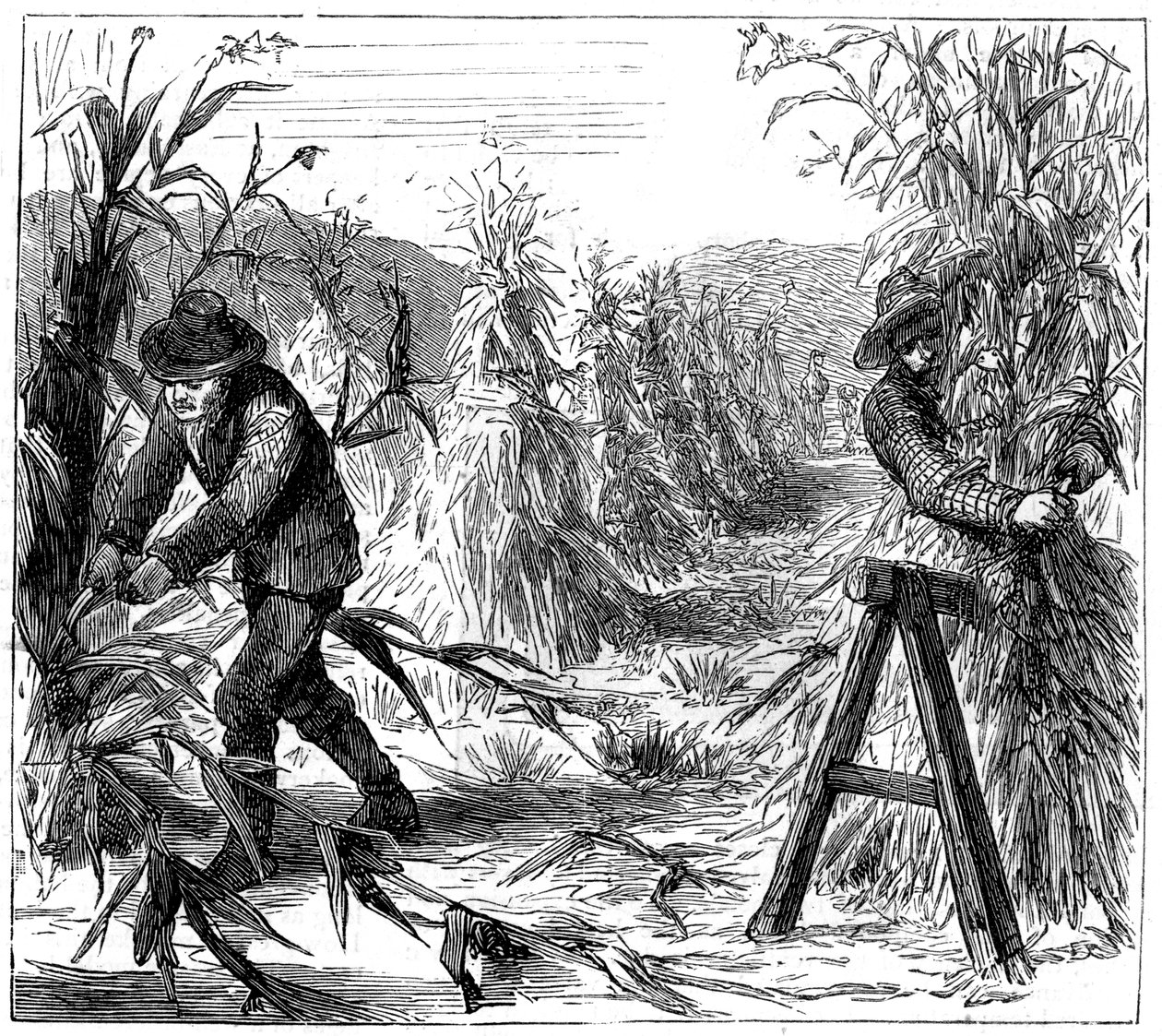 Mısırın hasat edilmesi ve kurutulması için çömelme, Drie Gölü, Kanada, 1880 by Unbekannt