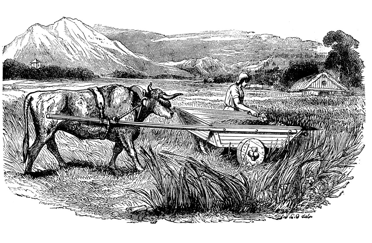 Pliny tarafından tarif edildiği gibi Roma hasat arabasının yeniden inşası, Gravür, 1860 by Unbekannt