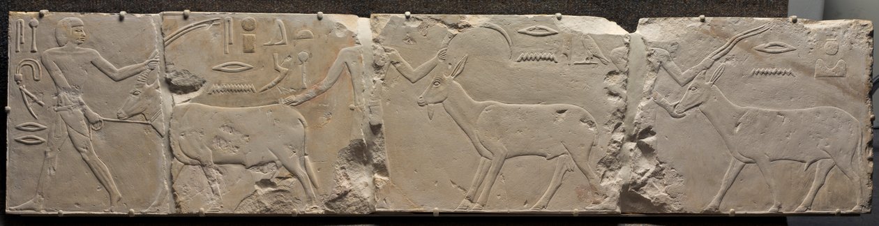 Çöl Hayvanları Getiren Adamların Rölyefi, c. 2311-2281 M.Ö. by Unbekannt