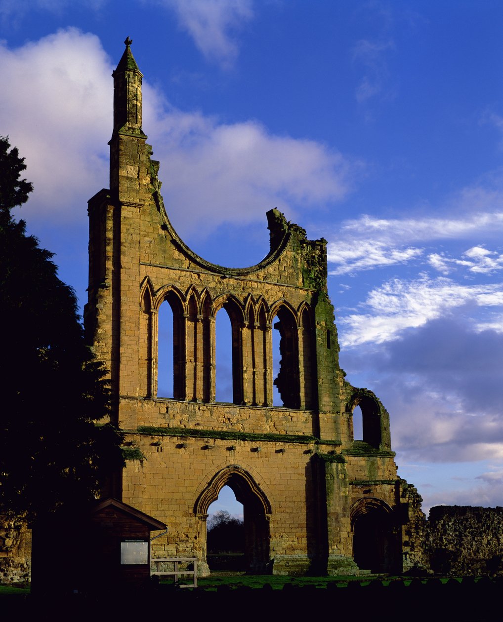 Cephe kalıntıları, Byland Manastırı, Kuzey Yorkshire (fotoğraf) by Unbekannt