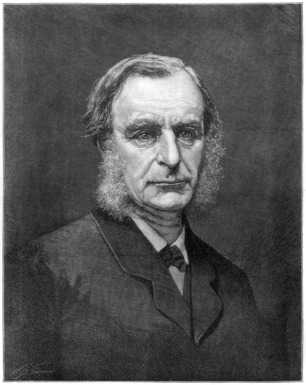 Rahip Charles Kingsley, İngiliz din adamı ve yazar, 1875 by Unbekannt