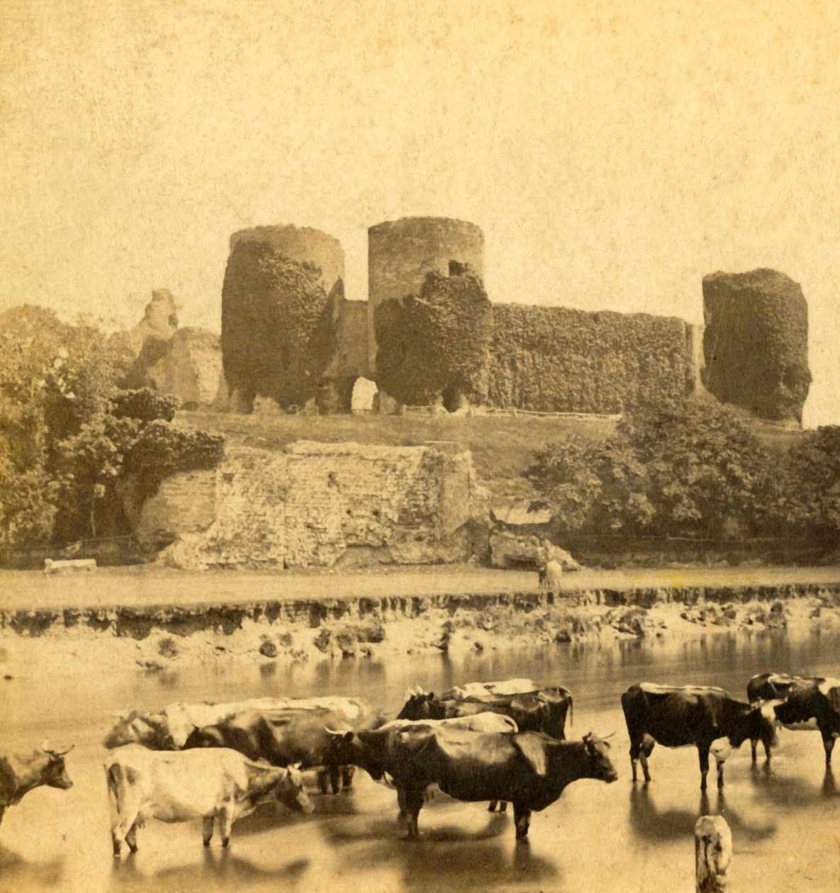 Rhuddlan - Nehirden Kale, c1900. by Unbekannt