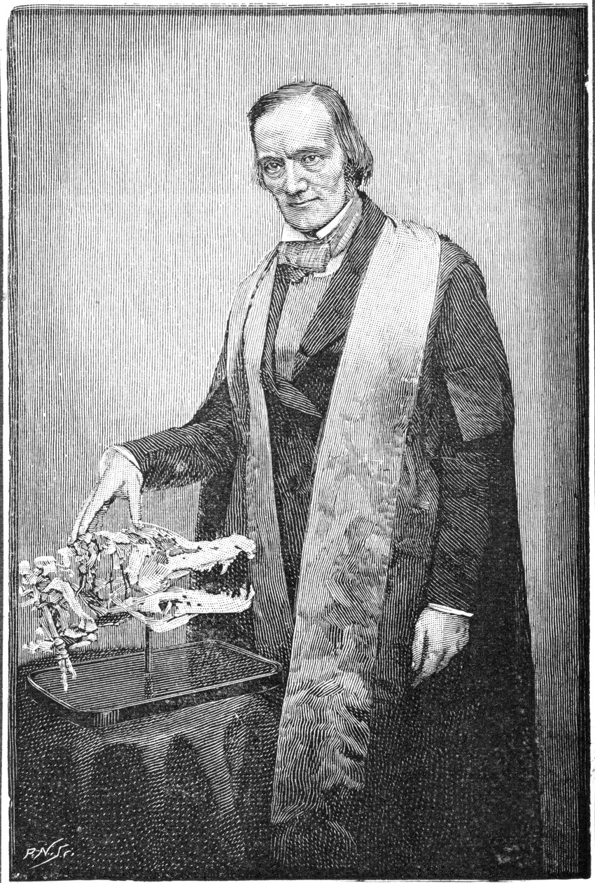 Richard Owen, İngiliz doğa bilimci, c1856 1891 by Unbekannt