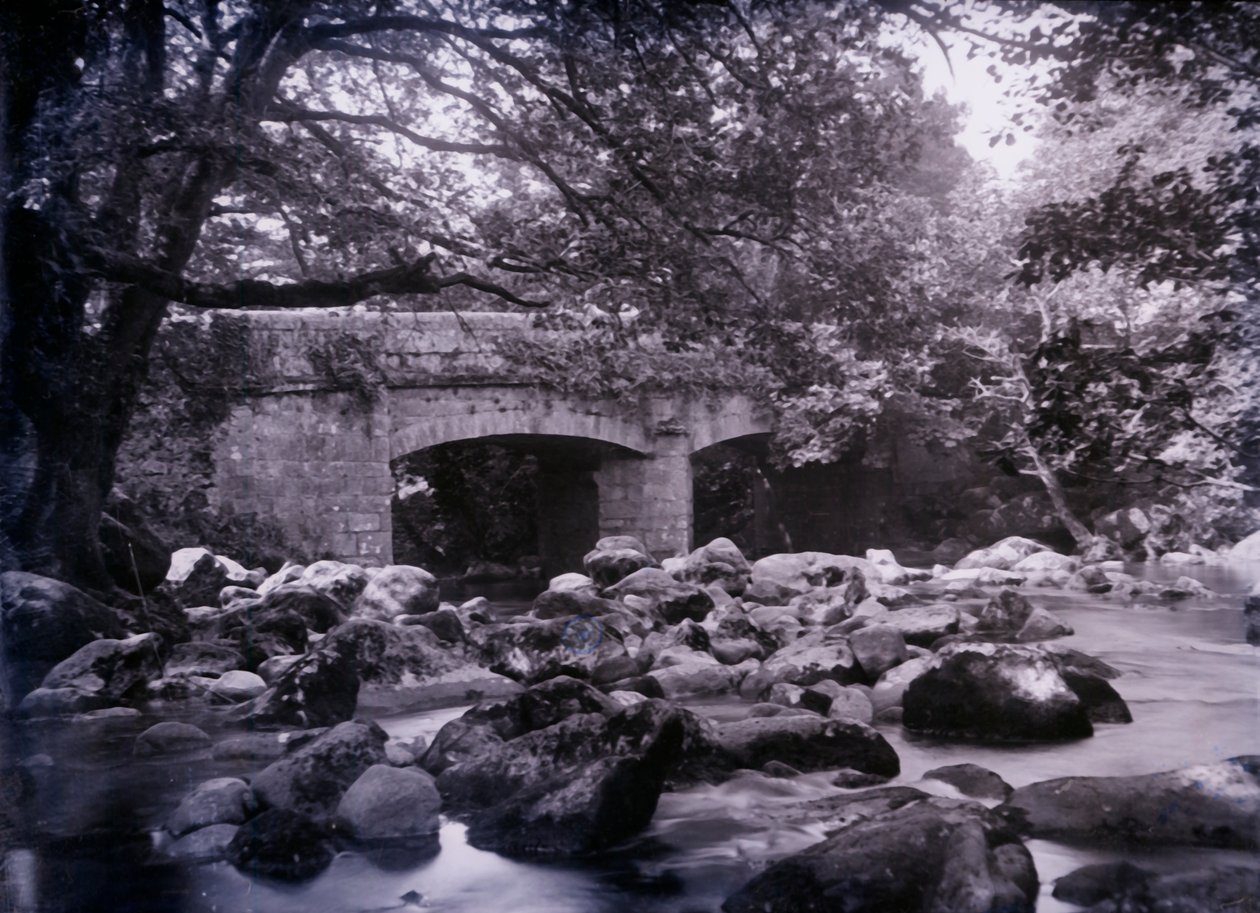 Devon, 1920