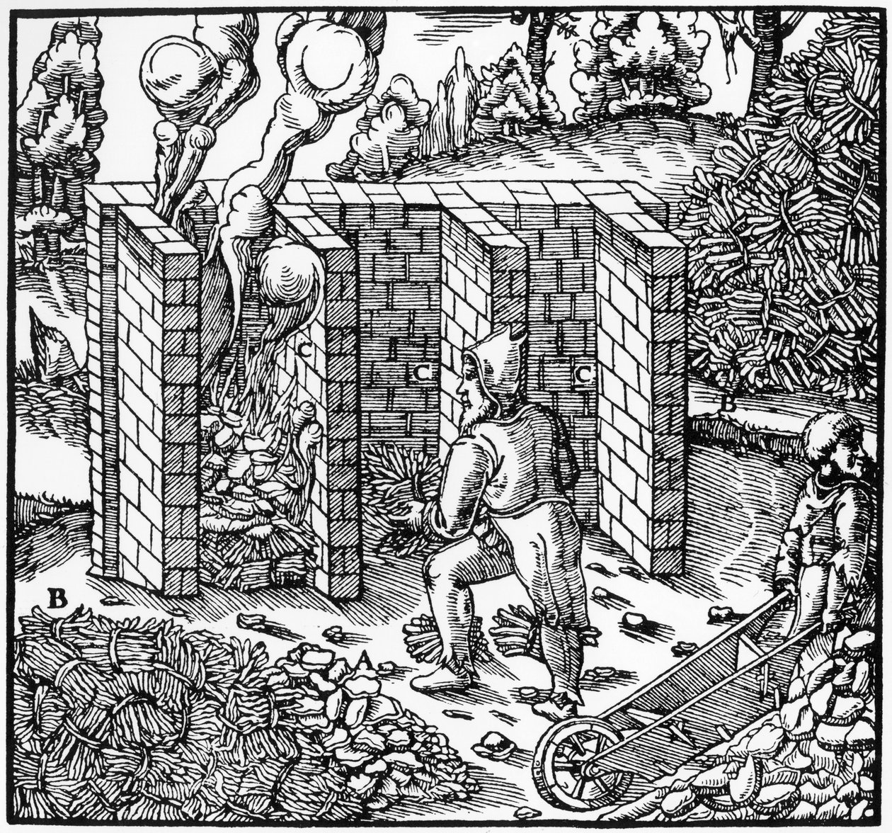 C, 1556