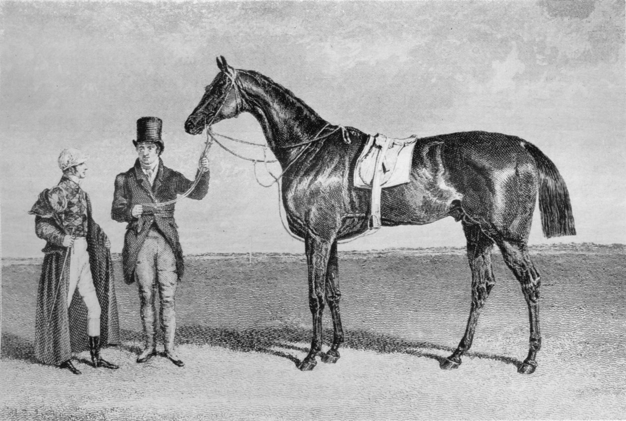 Rockingham, 1830-1842, 1911 by Unbekannt