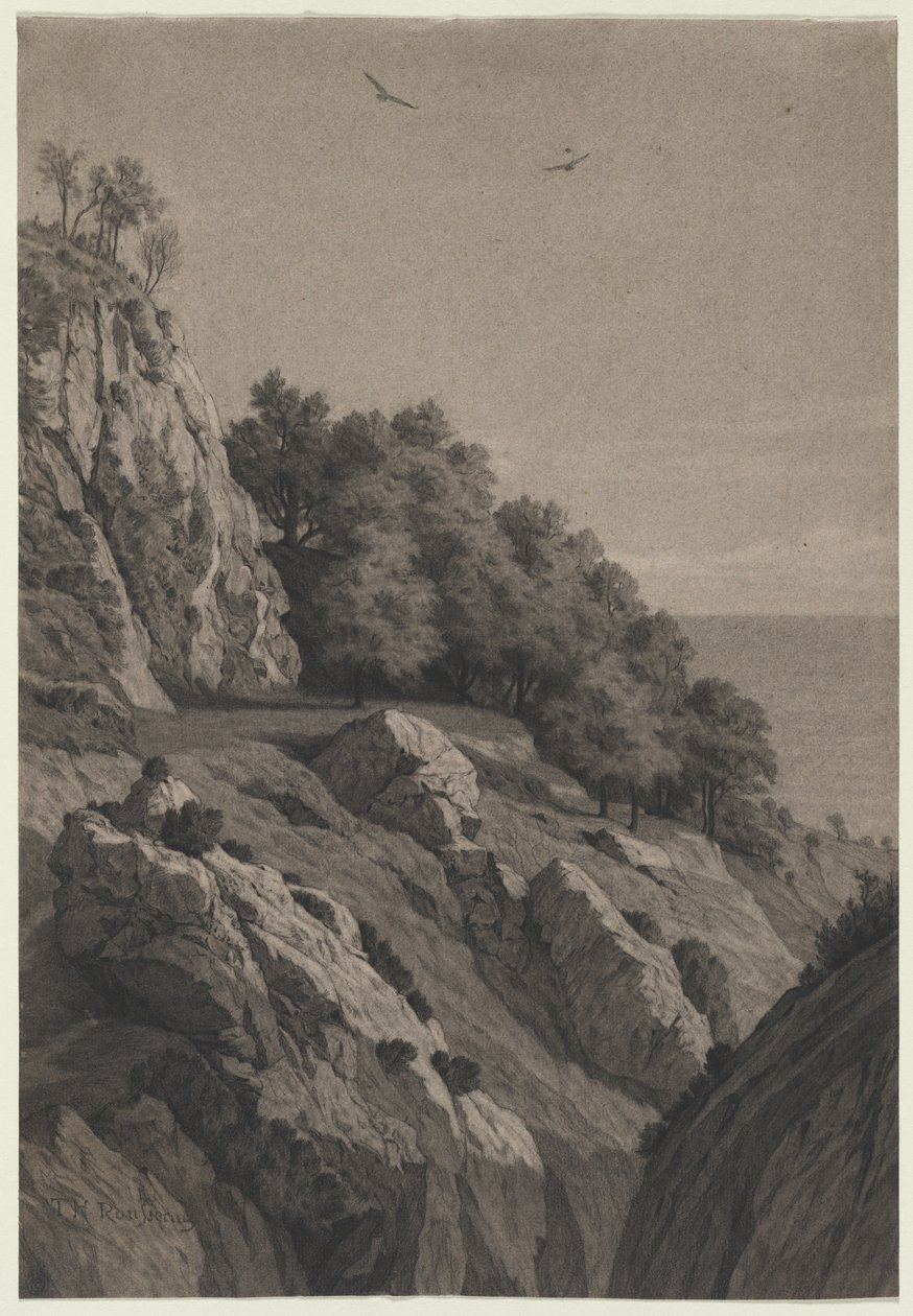 Sahilde Rocky Cliff, c. 1850-1860. by Unbekannt