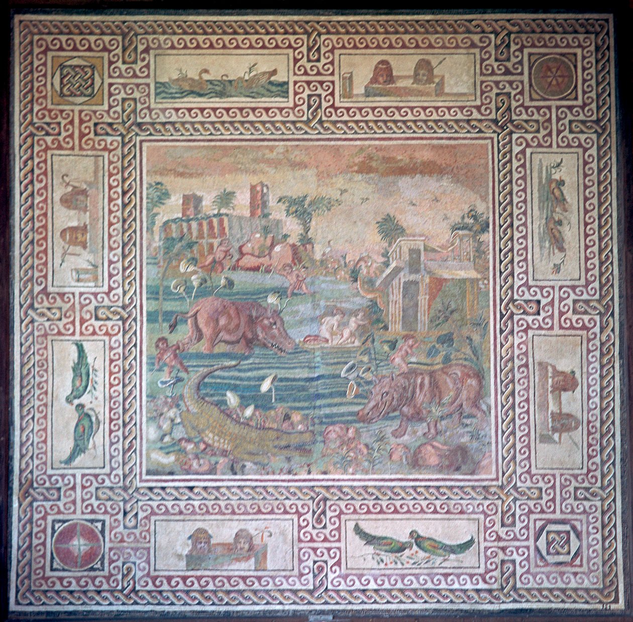 Mısır