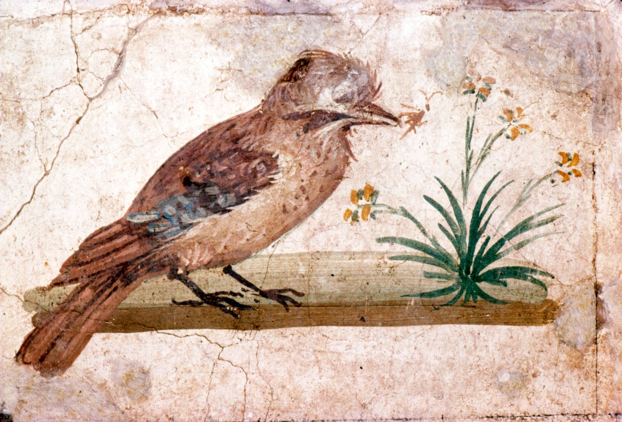 Pompeii yakınlarındaki Boscoreale