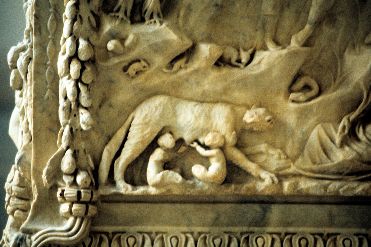 Dişi kurttan emen Romulus ve Remus by Unbekannt