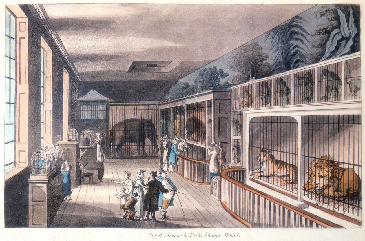 Royal Menagerie, Exeter Change, Strand, Londra, c1820 by Unbekannt