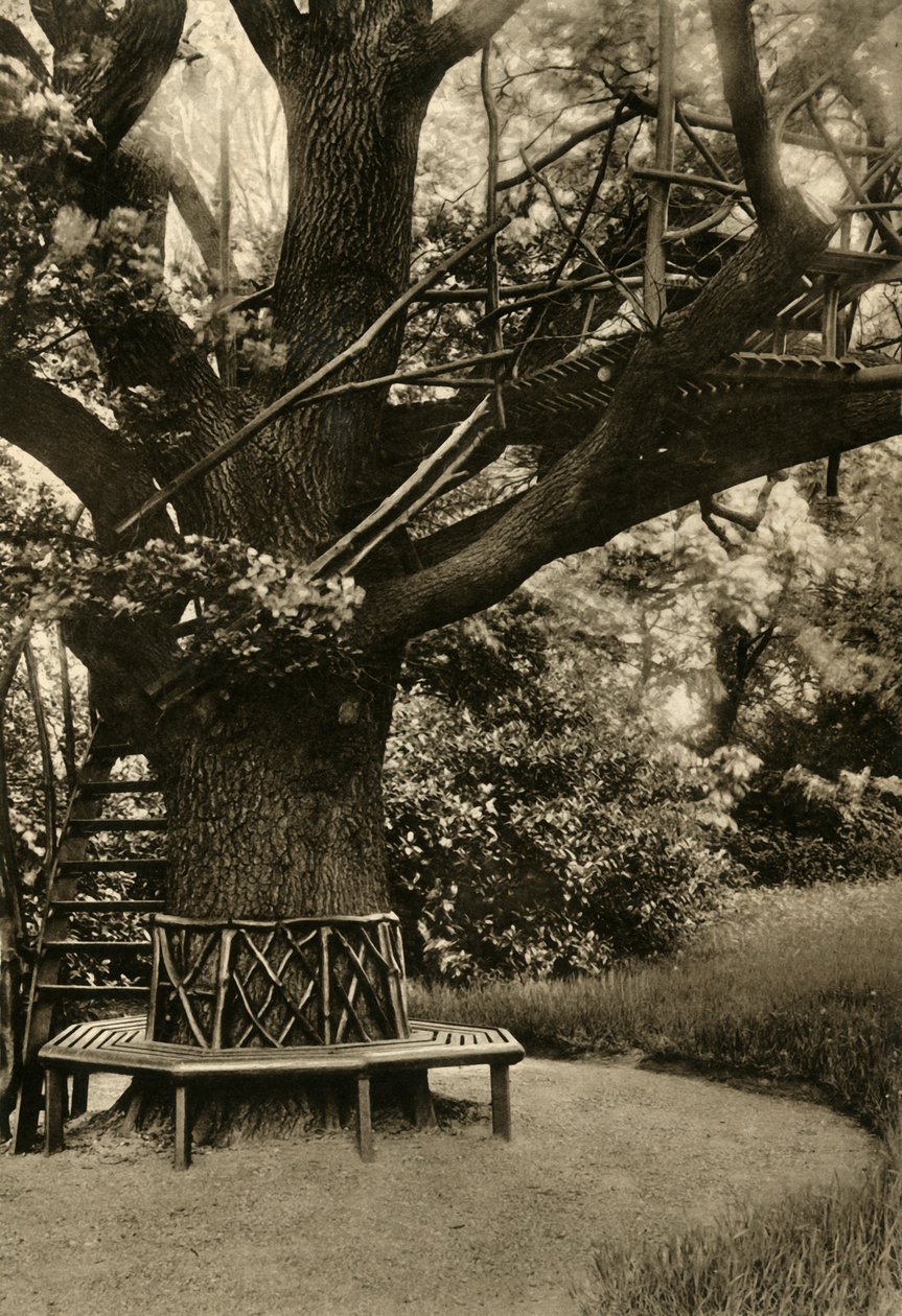 Rustik Tedavi. - Ağaçta Yazlık, ideal bir Çay Evi, 1920. by Unbekannt