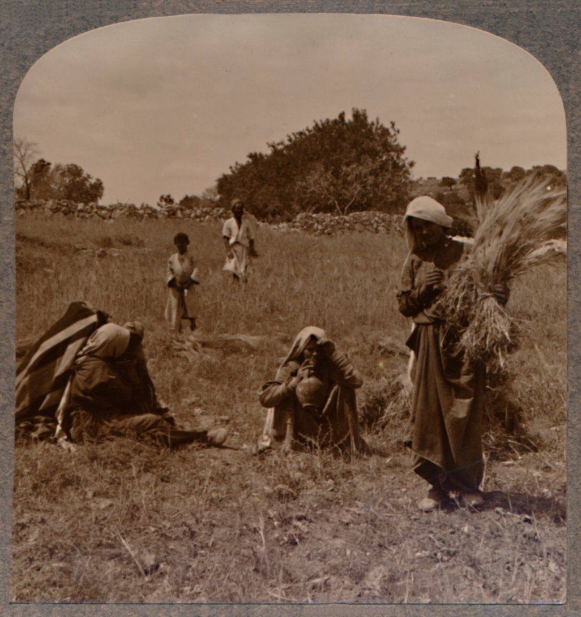 Ruth Boaz Tarlalarında ot toplarken, c1900 by Unbekannt