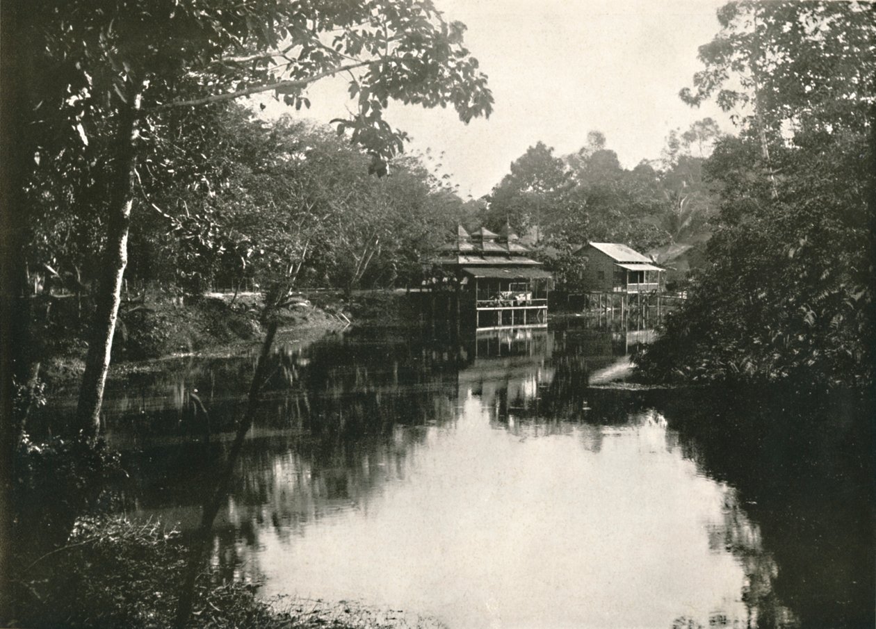 Kutsal At Nalı Gölü ve Zayats, Wingaba, Rangoon, 1900. by Unbekannt