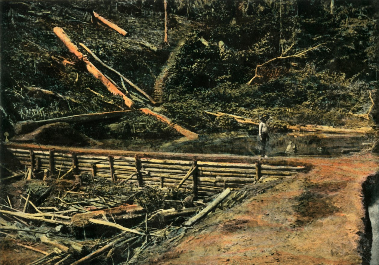 Saint-Elie. Büyük Batardo. İnşaat, Cofferdam