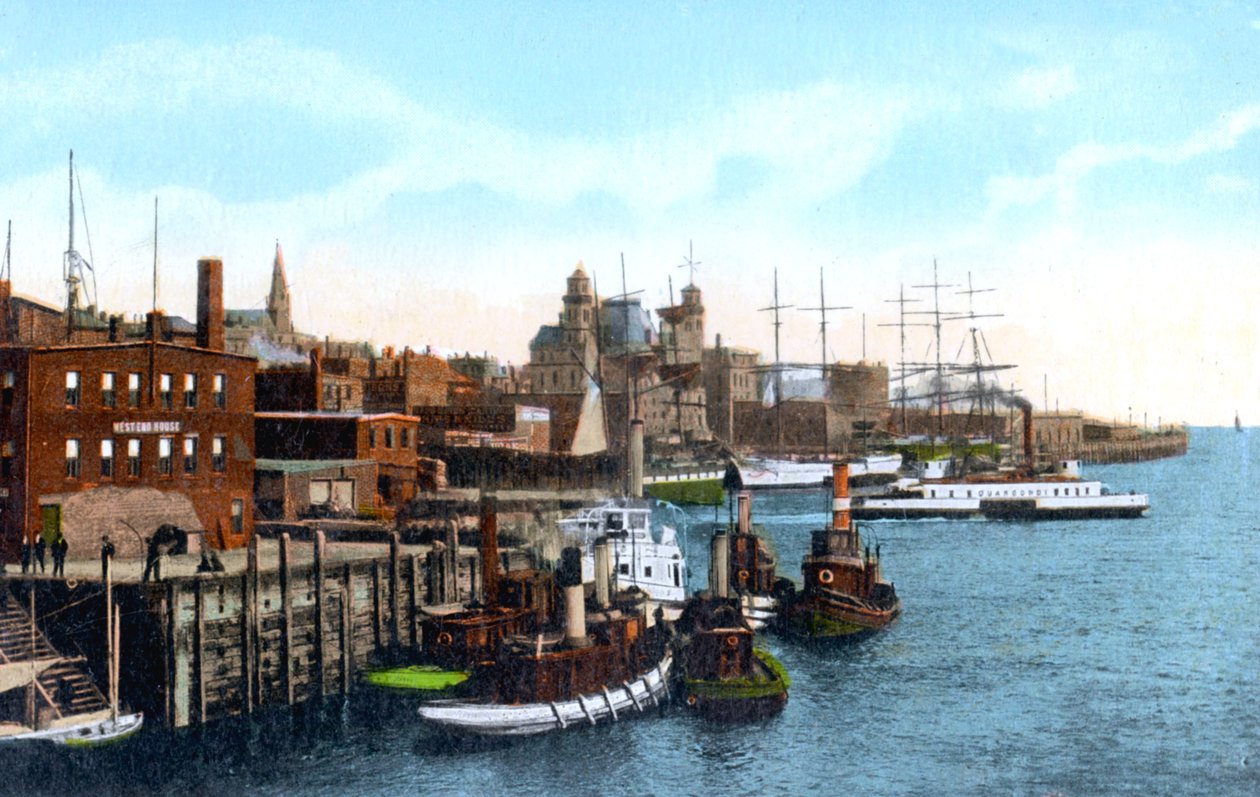 Saint John limanı, Saint John, New Brunswick, Kanada, c1900s by Unbekannt