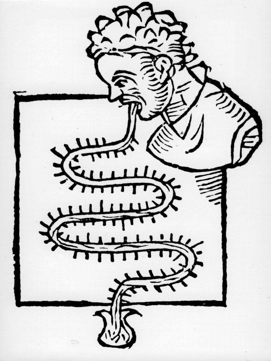 Sığınak klinik termometresi, 1612 by Unbekannt