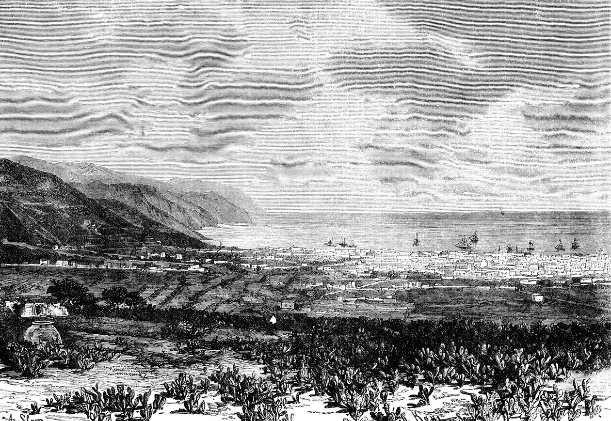 Santa Cruz, Tenerife, İspanya, 1895 by Unbekannt