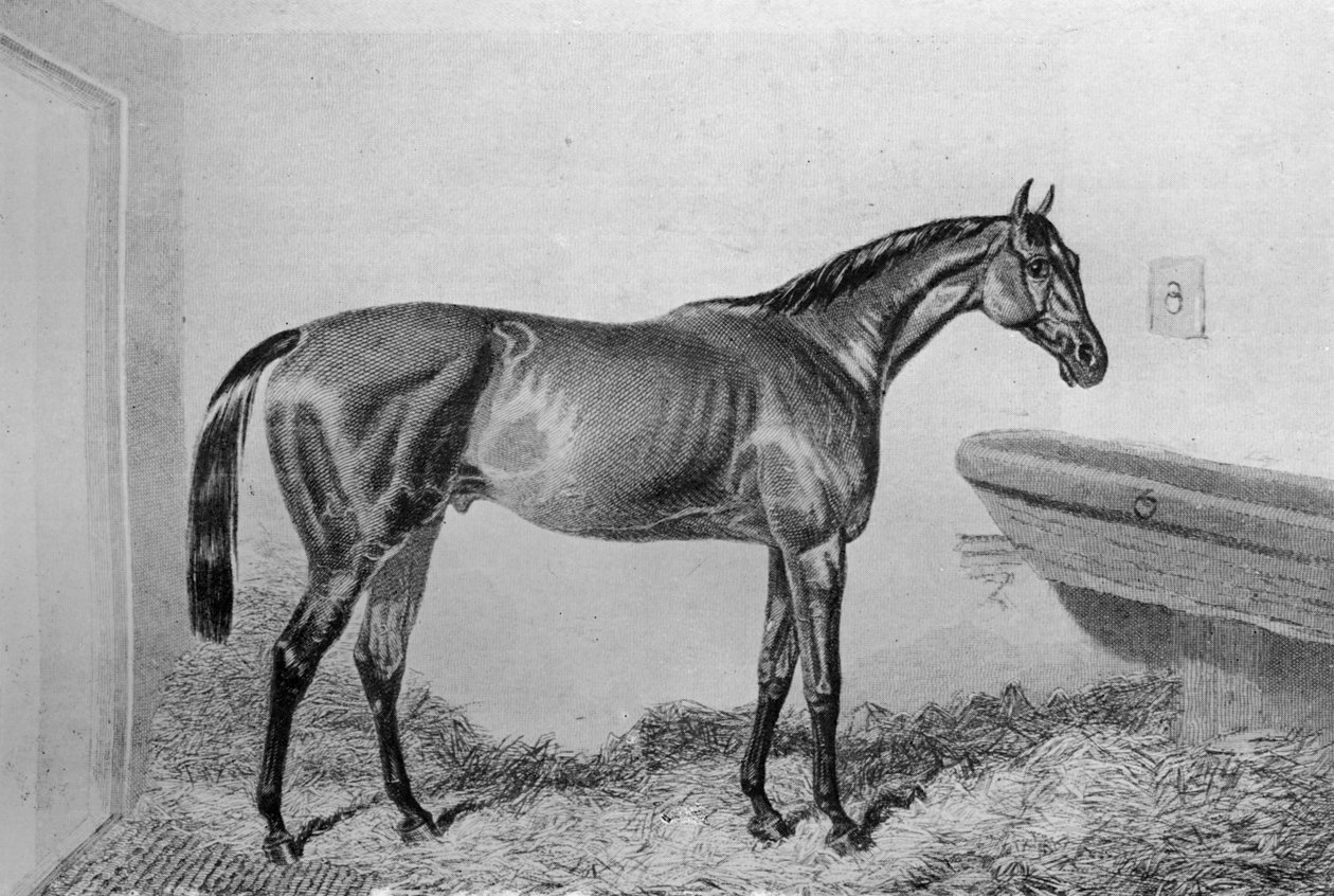Sosluk, c1840-1880, 1911 by Unbekannt
