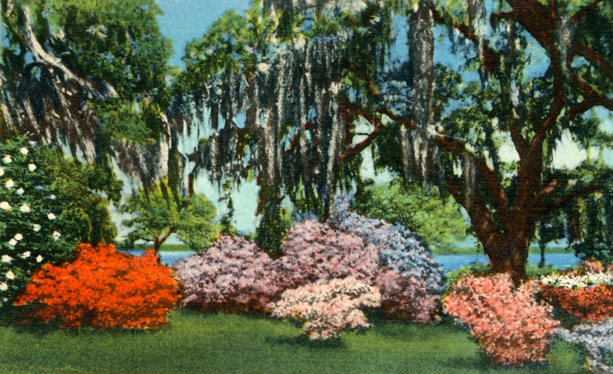 Georgetown yakınlarındaki Belle Isle Gardens