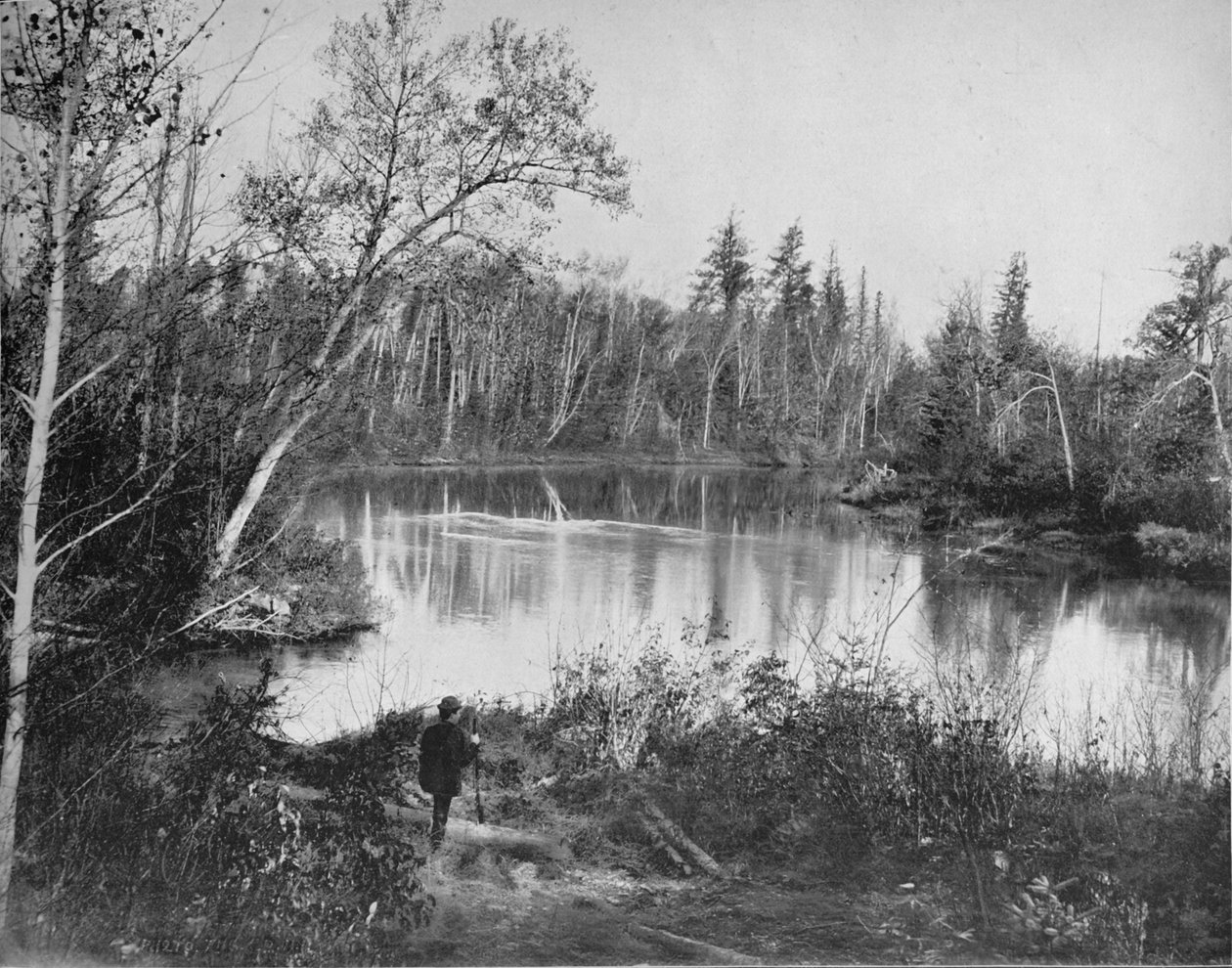 Peshtigo Nehri