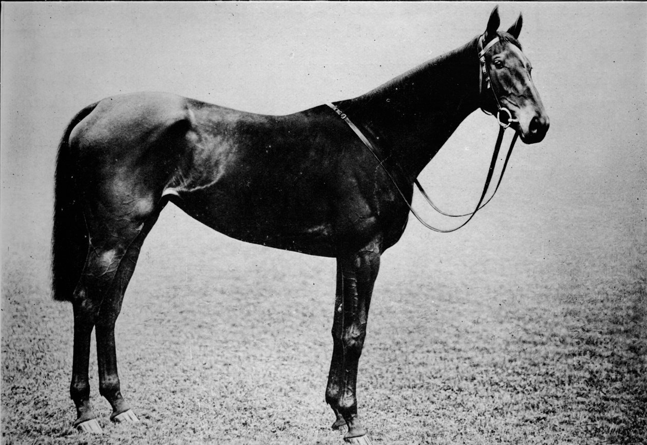 Asa, 1899-1926, 1911 by Unbekannt