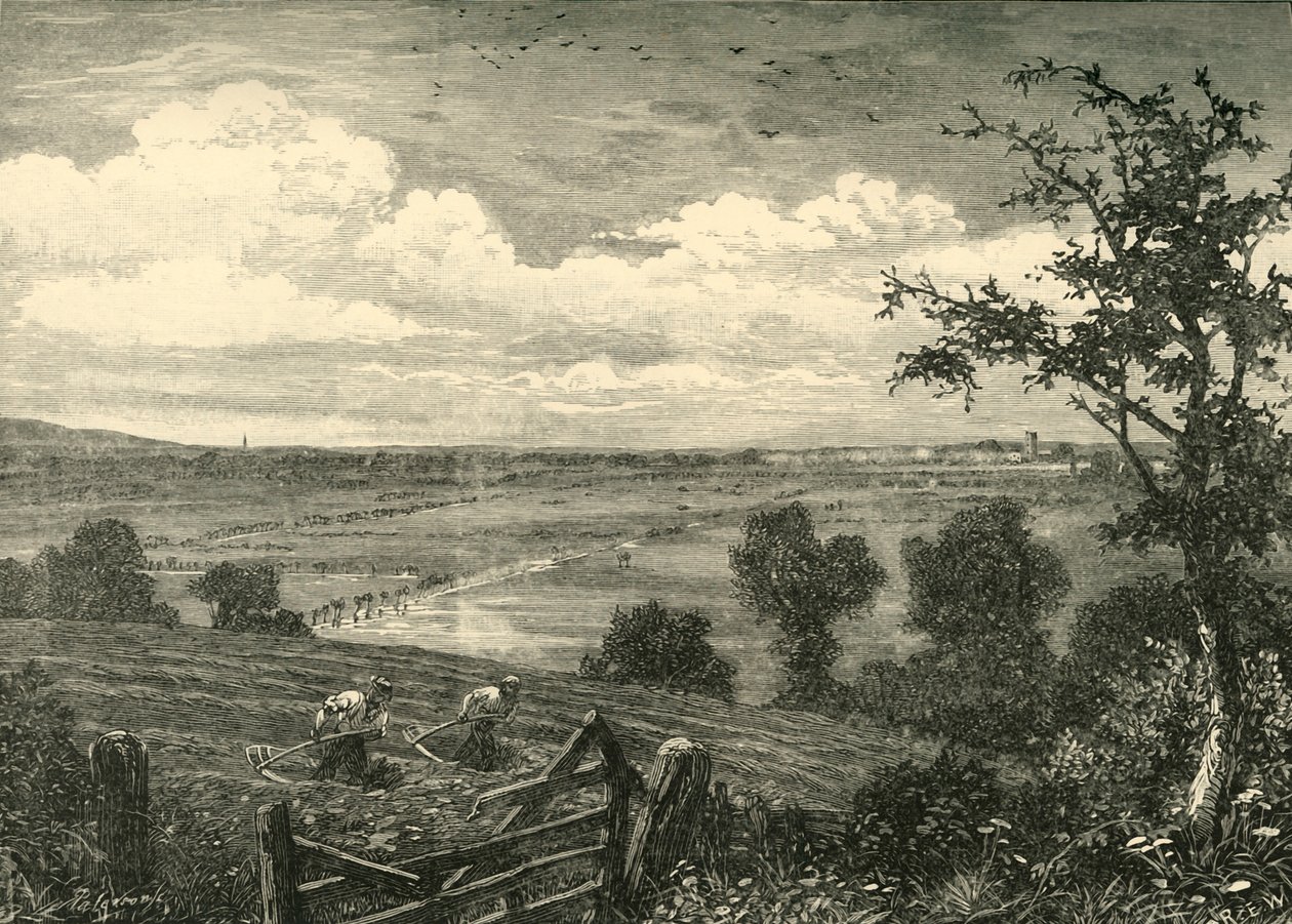 Sedgemoor, Middlezoy